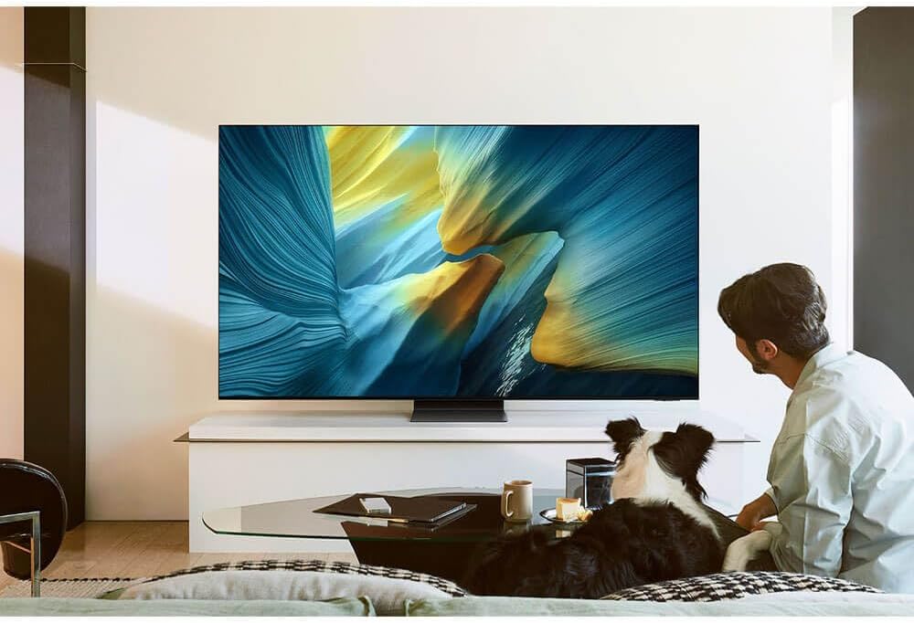 Samsung QN65S95F 65 inch Class OLED 4K S95F Vision AI Smart TV (2025)