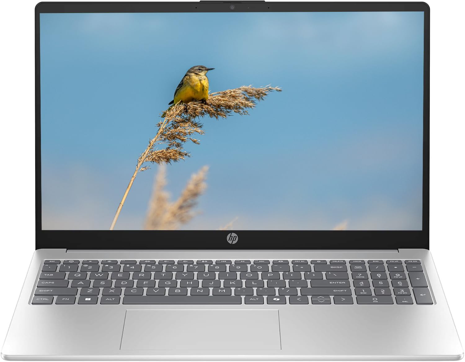 HP 15.5' FHD IPS Touchscreen Laptop, Intel Processor Core 5 120U Up to 5GHz, 8GB Ram, 512GB SSD, HDMI, Super-Fast WiFi 6, Windows 11 OS, Pastel Silver, Renewed