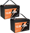 2 Packs 12V 100Ah LiFePO4 Battery with 100A BMS 1.28kWh Rechargeable Low-Temp Protection Lithium Battery Up to 6000 Cycles Perfect for RV, Solar System, Off-Grid