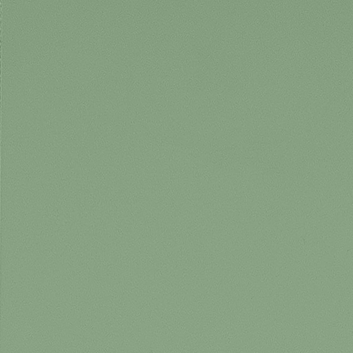 Arrow Select 10' x 12' Outdoor Lockable Steel Storage Shed Building, Sage Green