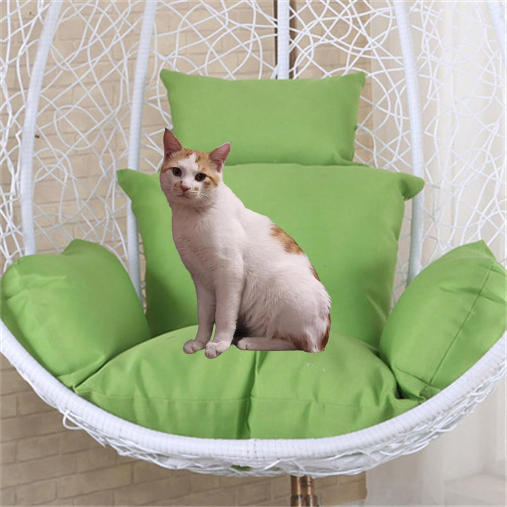 Egg Chair Cushion, Soft and Comfortable Hanging Basket Chair Cushion, Outdoor Recreation Egg Swing Chair Cushion(Green)