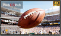 Outdoor TV, 65Inch 4K Outdoor Smart TV, 1000nits High Brightness Outdoor TVs, IP65 Waterproof TV, Voice Assistant Remote, Compatible with Dolby, Wide Viewing Angle Smart TV, Suitable for Partial Sun