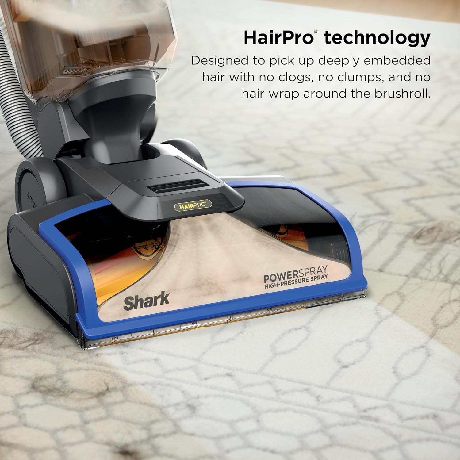 Shark CarpetXpert HairPro | Upright Carpet, Area Rug & Upholstery Cleaner | Carpet Shampooer | Handheld Spot & Stain Eliminator | Pet Hair Pickup & Odor Removal | 2 Cleaning Tools | Cobalt | EX251BRN