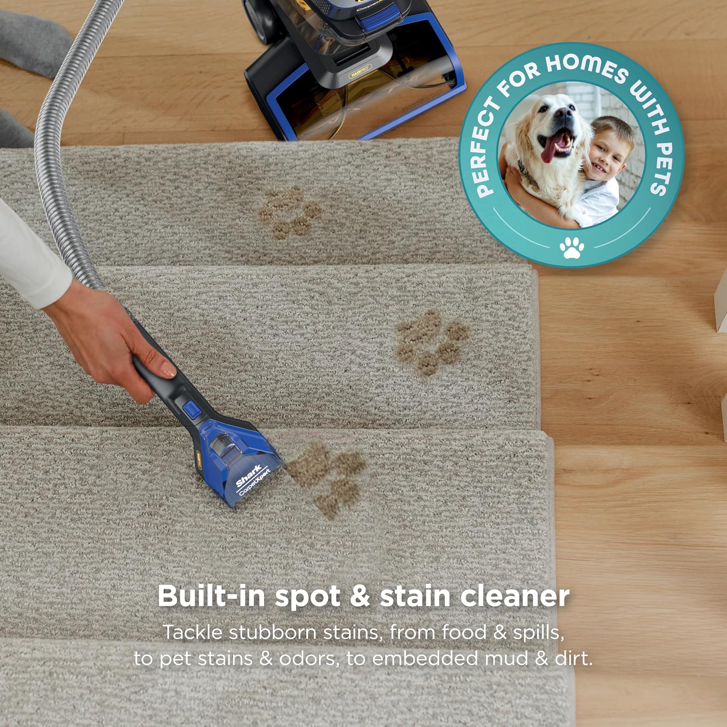 Shark CarpetXpert HairPro | Upright Carpet, Area Rug & Upholstery Cleaner | Carpet Shampooer | Handheld Spot & Stain Eliminator | Pet Hair Pickup & Odor Removal | 2 Cleaning Tools | Cobalt | EX251BRN