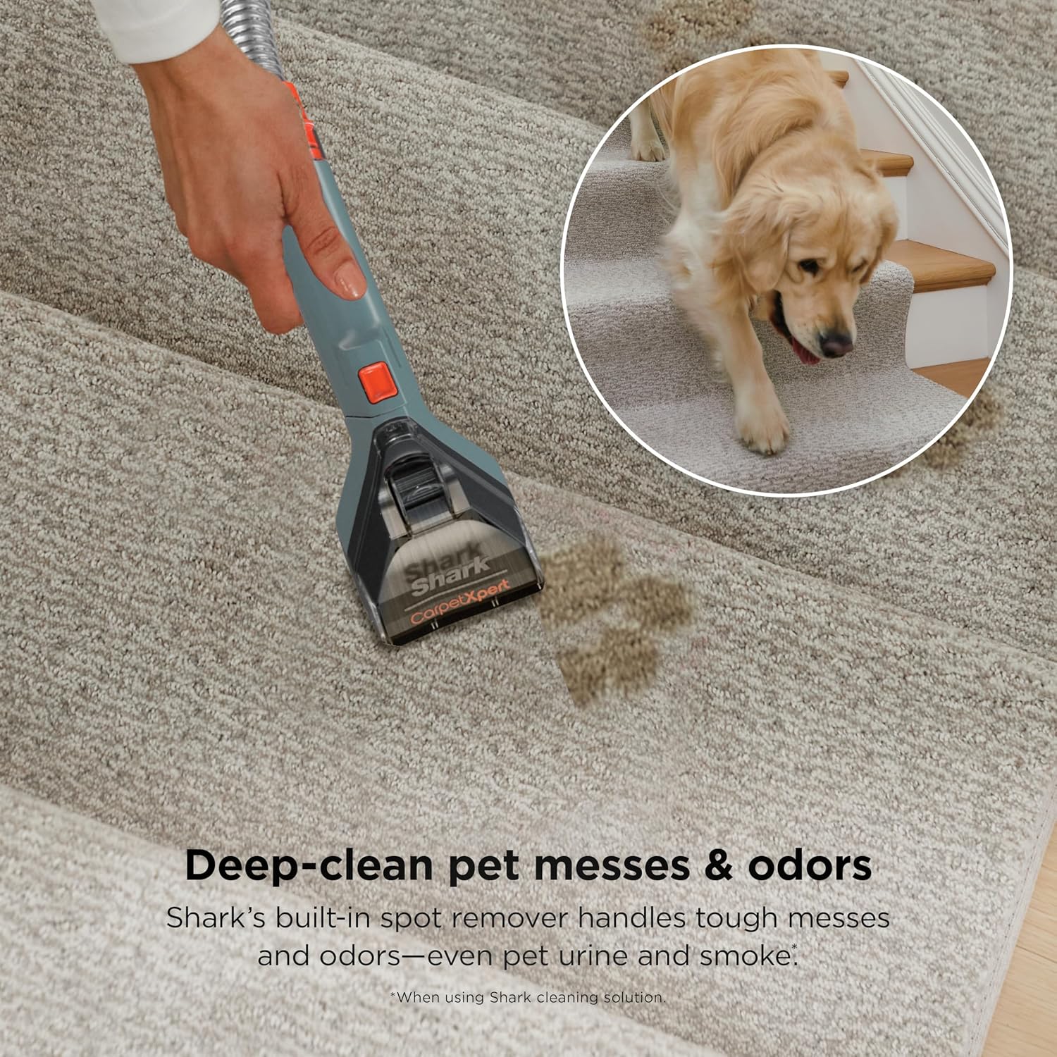 Shark CarpetXpert | Upright Carpet, Area Rug & Upholstery Cleaner | Carpet Shampooer with Handheld Spot & Stain Eliminator | 3 Cleaning Tools | Slate Green | EX151