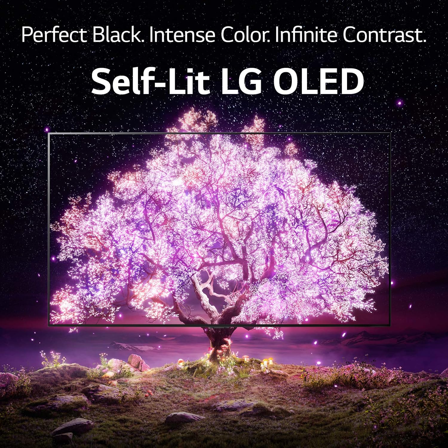 LG OLED83C1PUA / OLED83C1AUA Alexa Built-in C1 Series 83' 4K Smart OLED TV (2021) (Renewed)